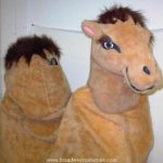 brown camel with one hump